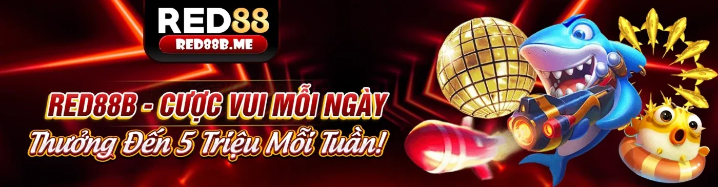 Khuyến mãi hàng ngày, hàng tuần, hàng tháng