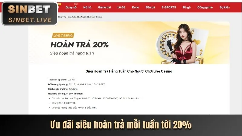 Chương trình VIP kjc11880 nhà cái